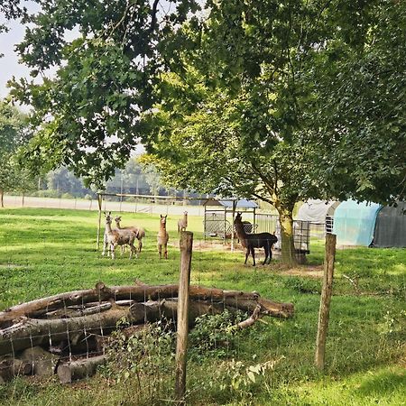 Ferienhaus Banana Lodge Bruchhausen-Vilsen Bagian luar foto