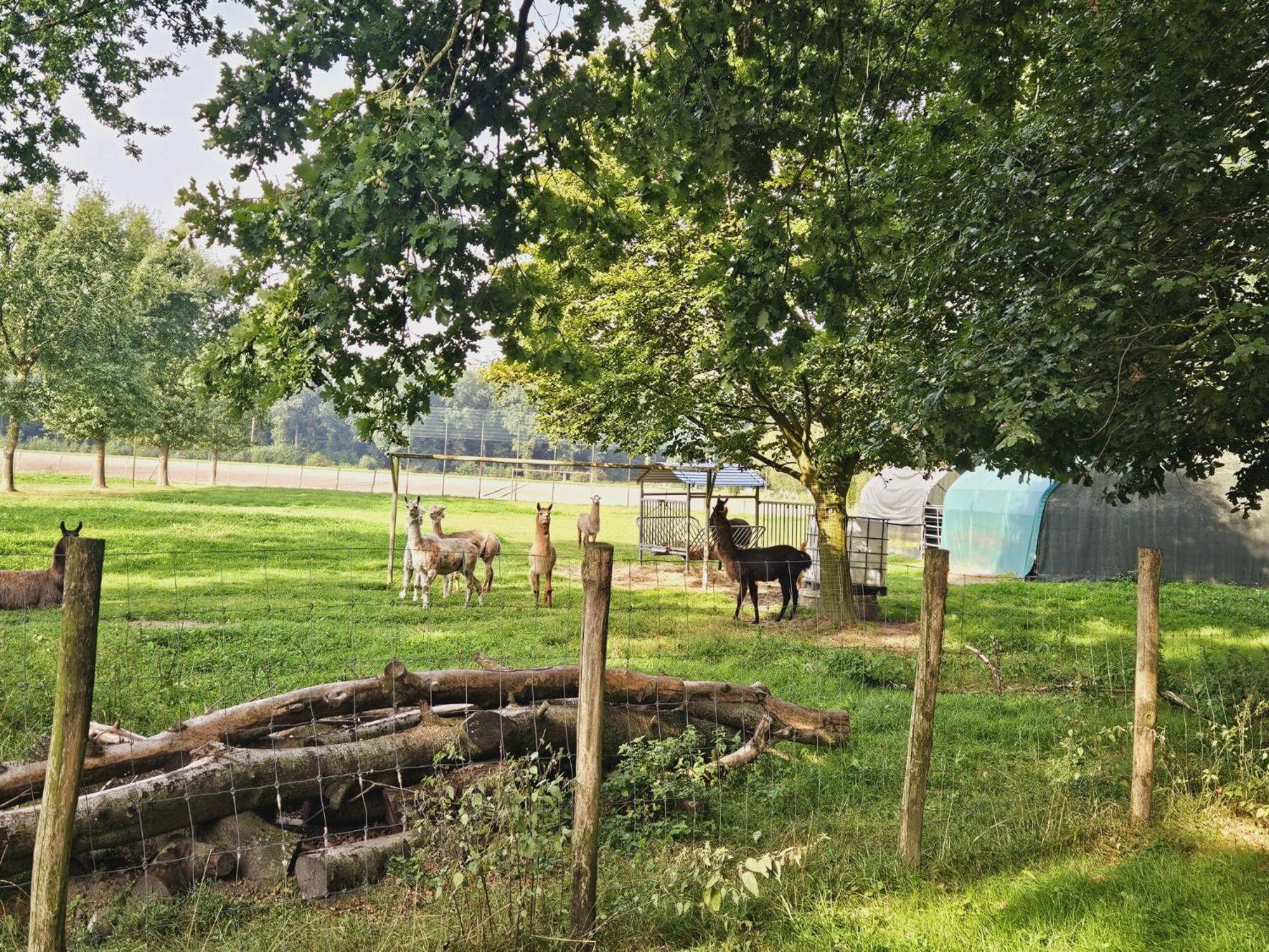 Ferienhaus Banana Lodge Bruchhausen-Vilsen Bagian luar foto